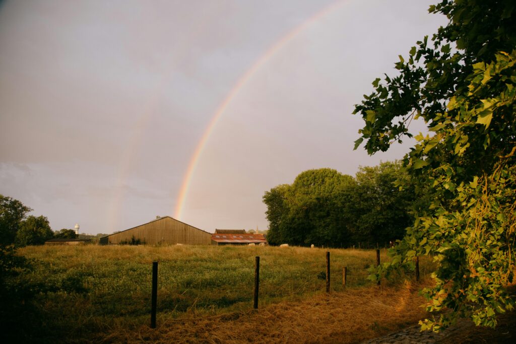 homestead while working full-time